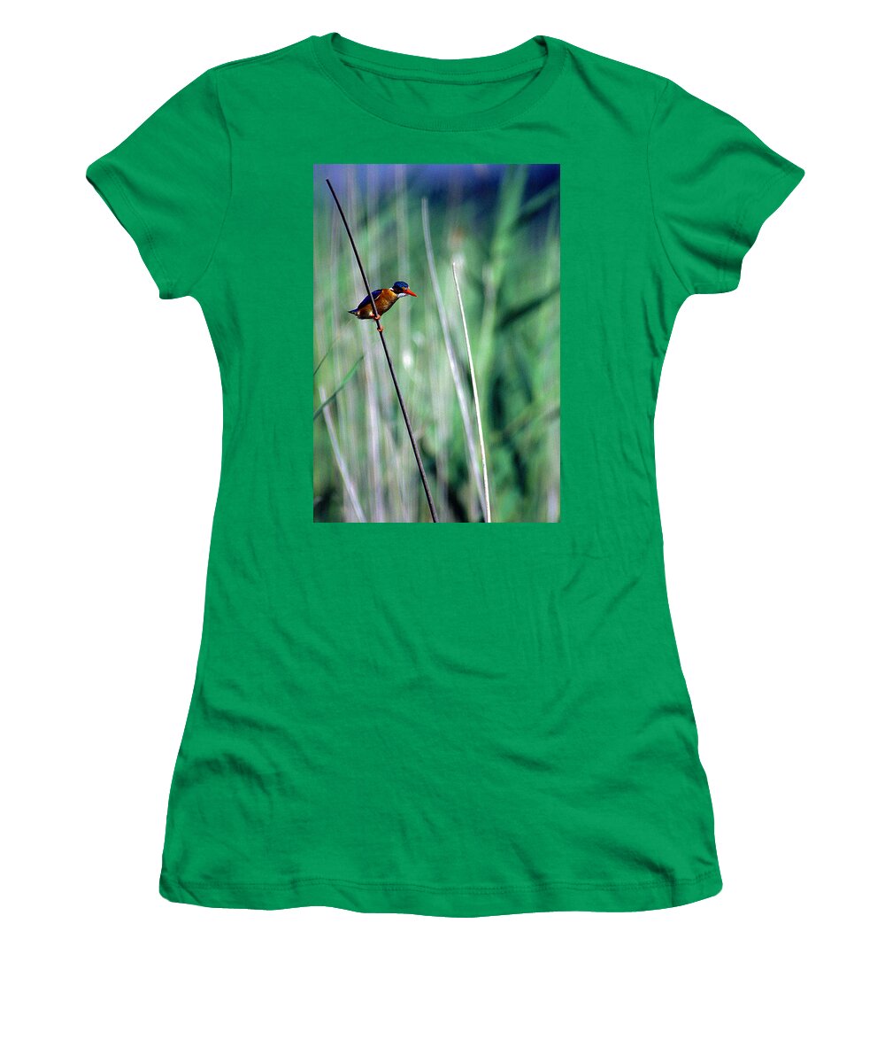 Africa Women's T-Shirt featuring the photograph Malachite by Alistair Lyne