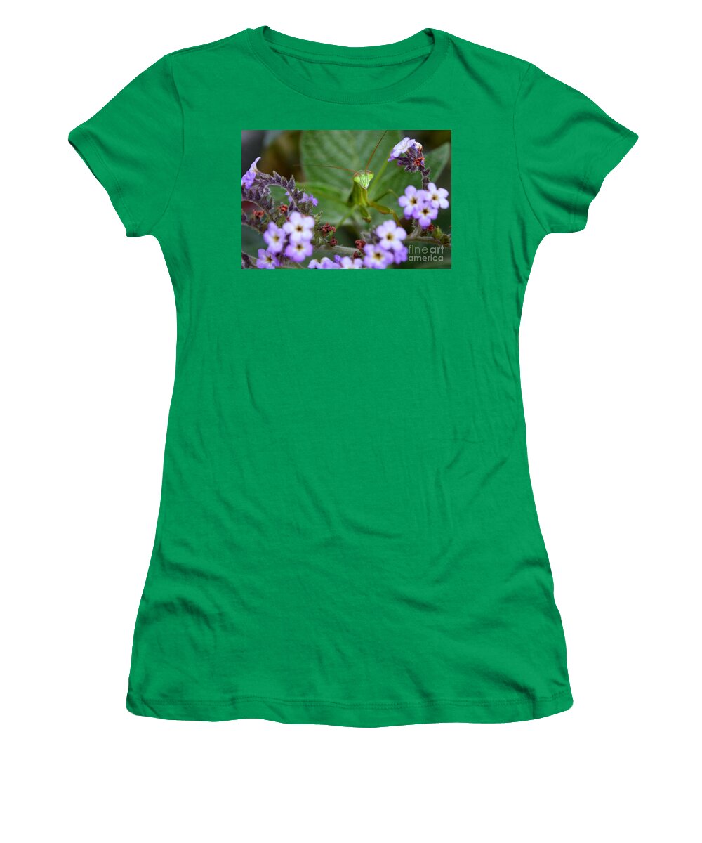 Praying Mantis Women's T-Shirt featuring the photograph Mantis by Heather Applegate