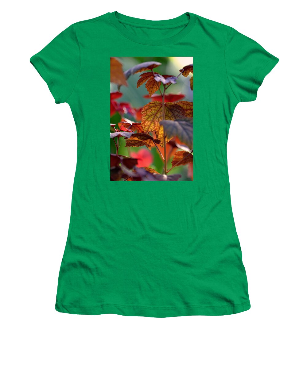 Autumn Women's T-Shirt featuring the photograph Missing Autumn by Melanie Moraga