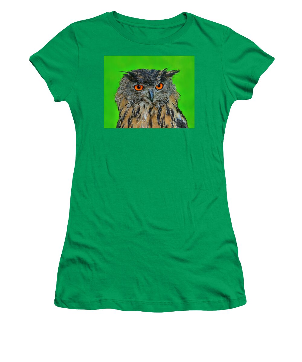 Eurasian Eagle-owl Women's T-Shirt featuring the photograph Wet by Tony Beck