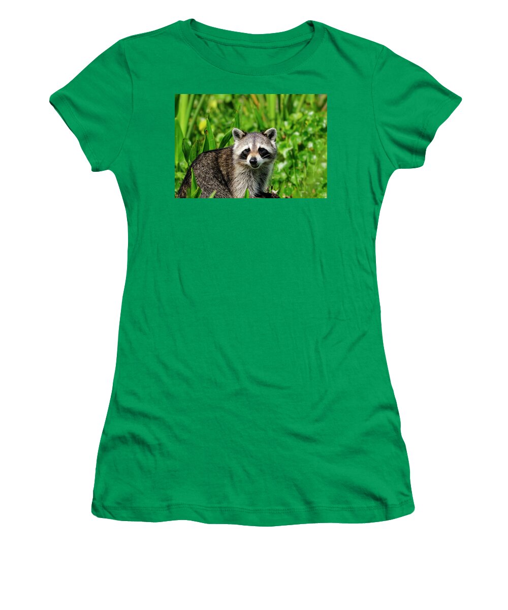 Wetlands Women's T-Shirt featuring the photograph Wetlands Racoon Bandit by Bill Dodsworth