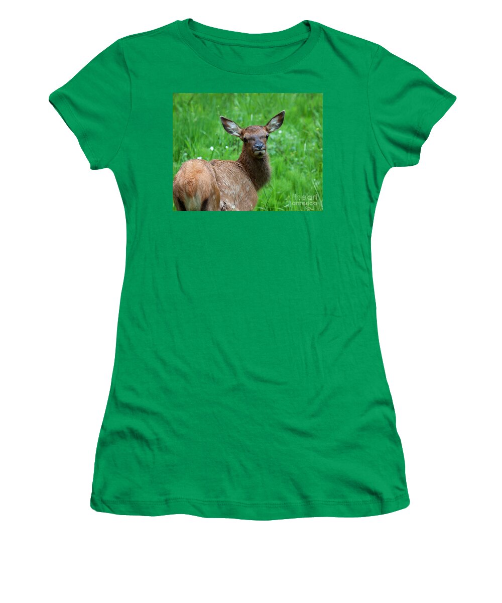 Elk Women's T-Shirt featuring the photograph Green Pastures #1 by Jim Garrison