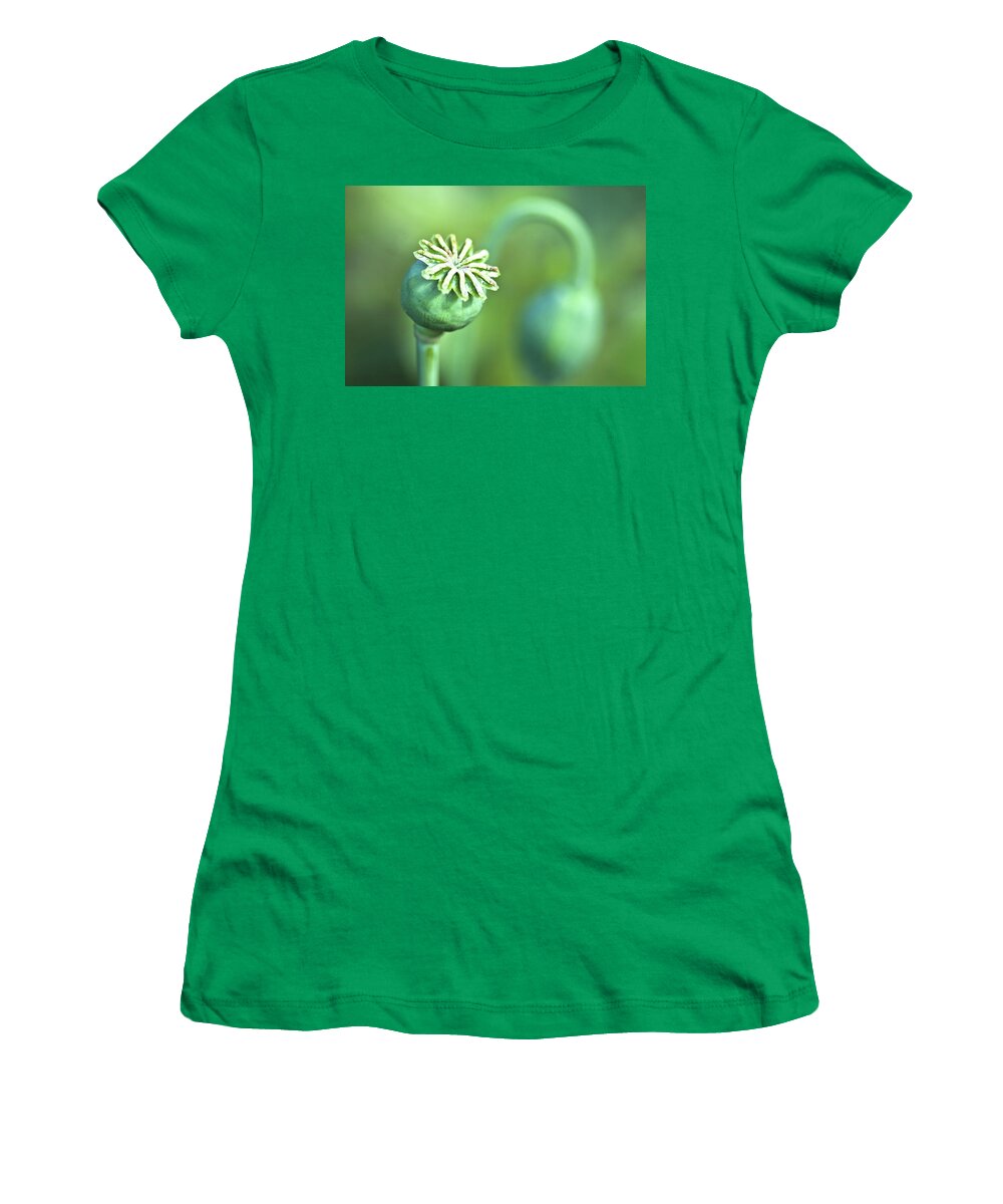 Poppy Women's T-Shirt featuring the photograph Poppy seed capsule #2 by Heiko Koehrer-Wagner