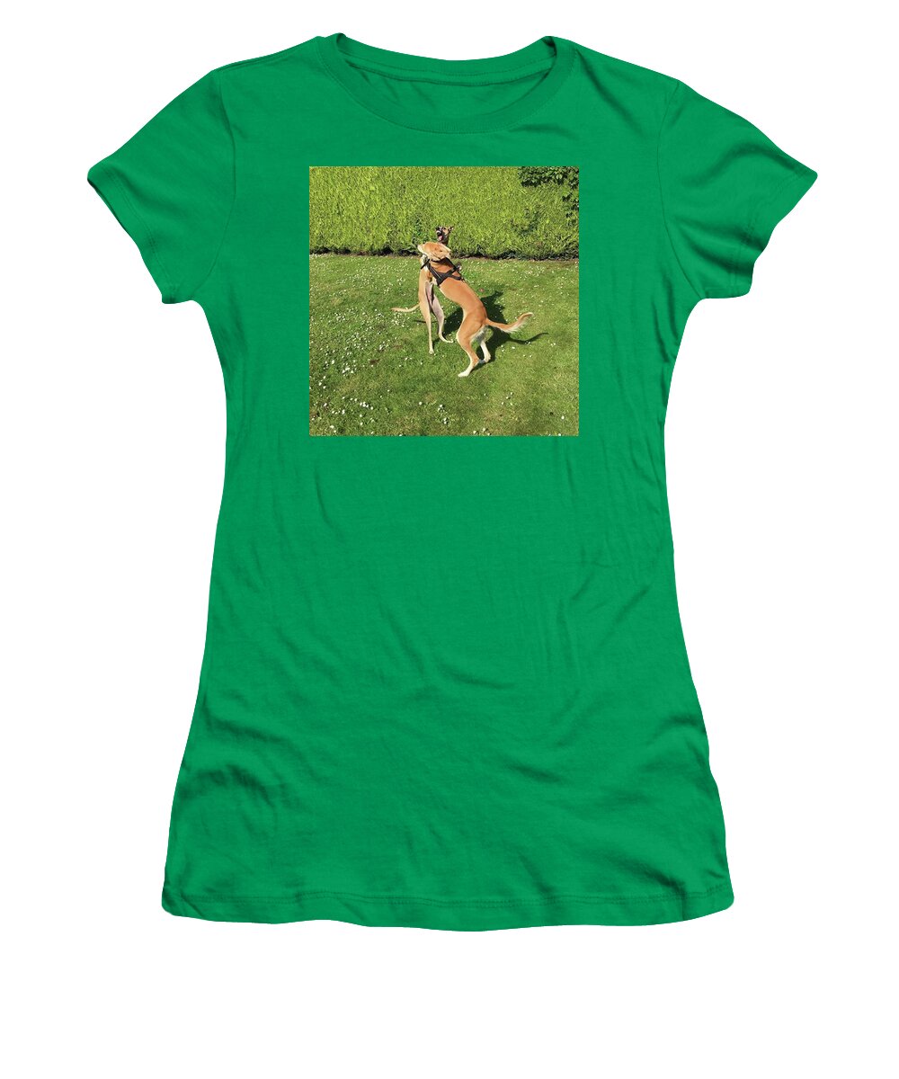 Persiangreyhound Women's T-Shirt featuring the photograph Ava The Saluki And Finly The Lurcher by John Edwards
