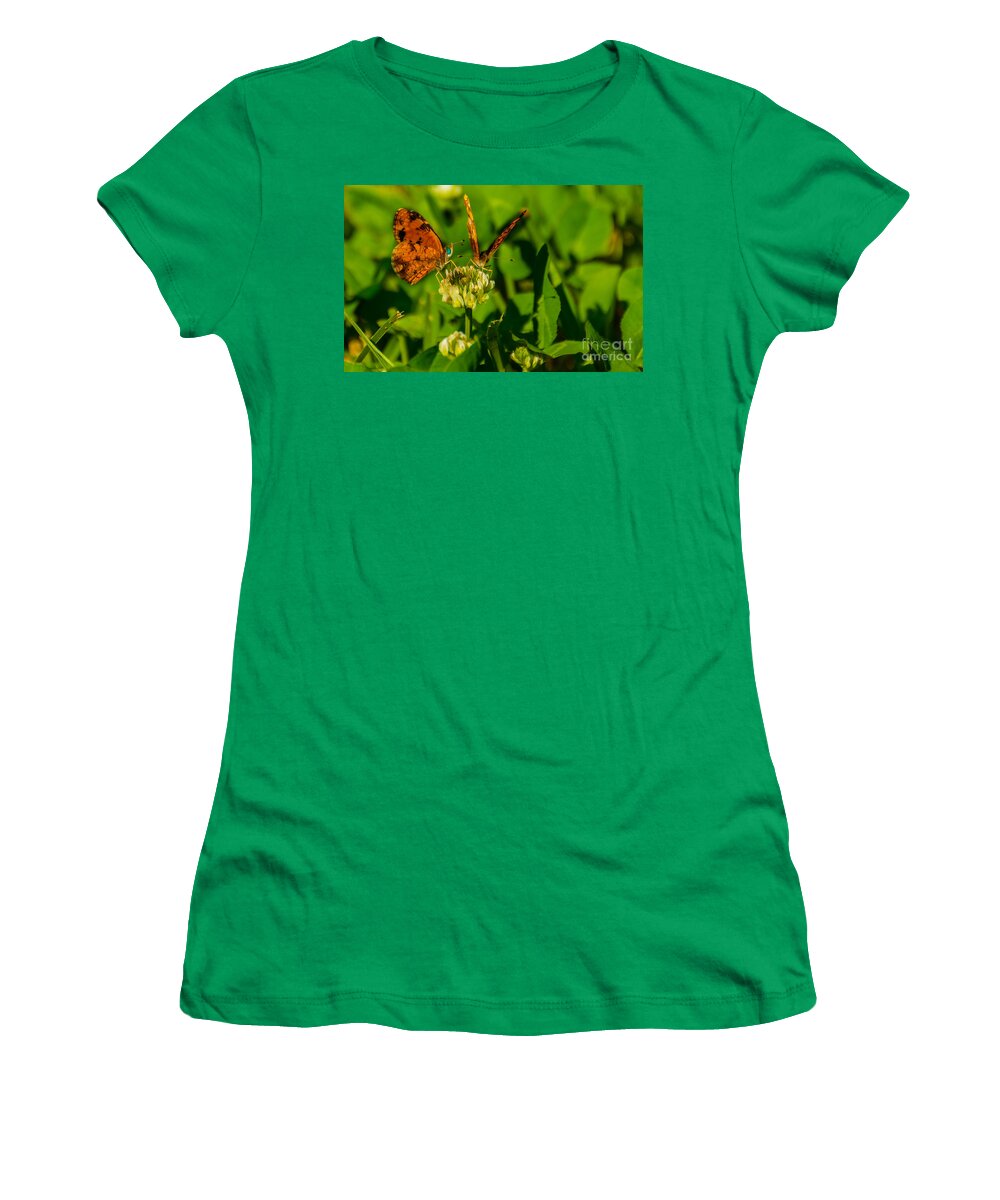 Butterfly Women's T-Shirt featuring the photograph Bluehead Butterfly by Metaphor Photo