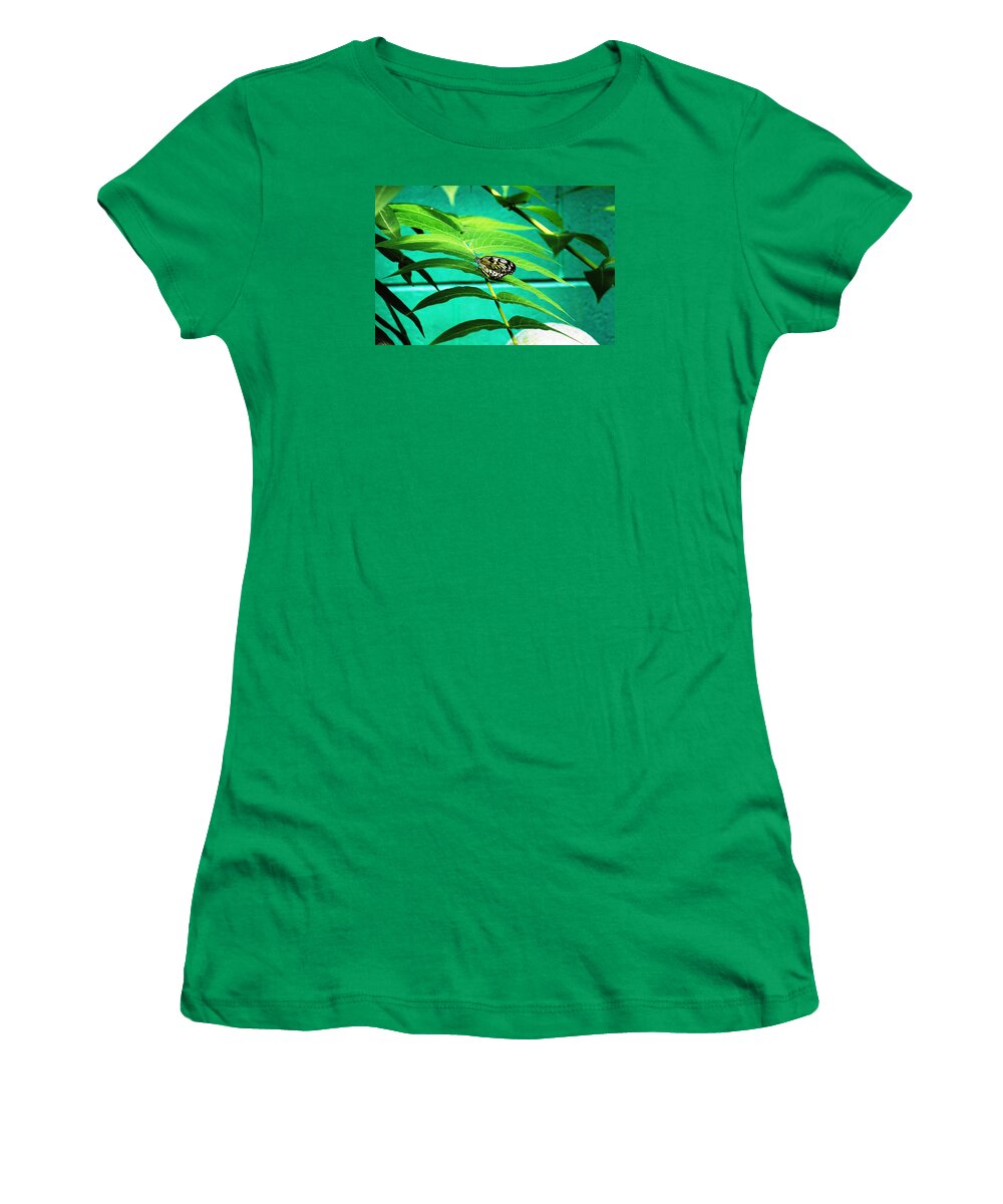 Butterfly Women's T-Shirt featuring the photograph Butterfly 002 by Donn Ingemie