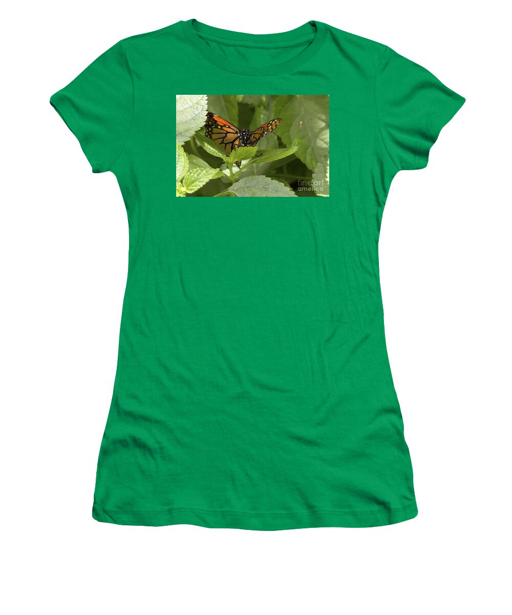Butterfly Women's T-Shirt featuring the photograph Butterfly Peeking Through Leaves by Karen Foley