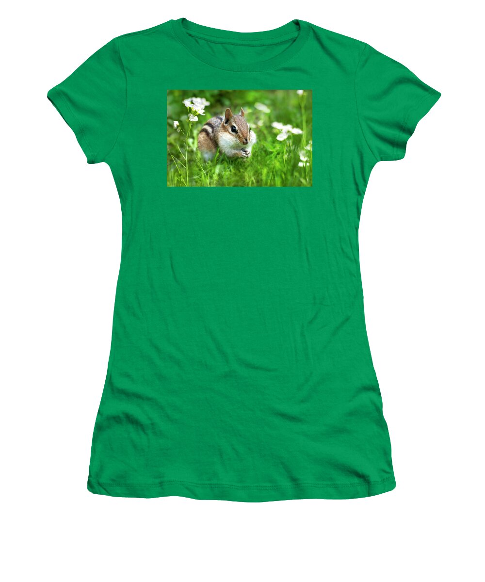 Chipmunk Women's T-Shirt featuring the photograph Chipmunk Saving Seeds by Christina Rollo