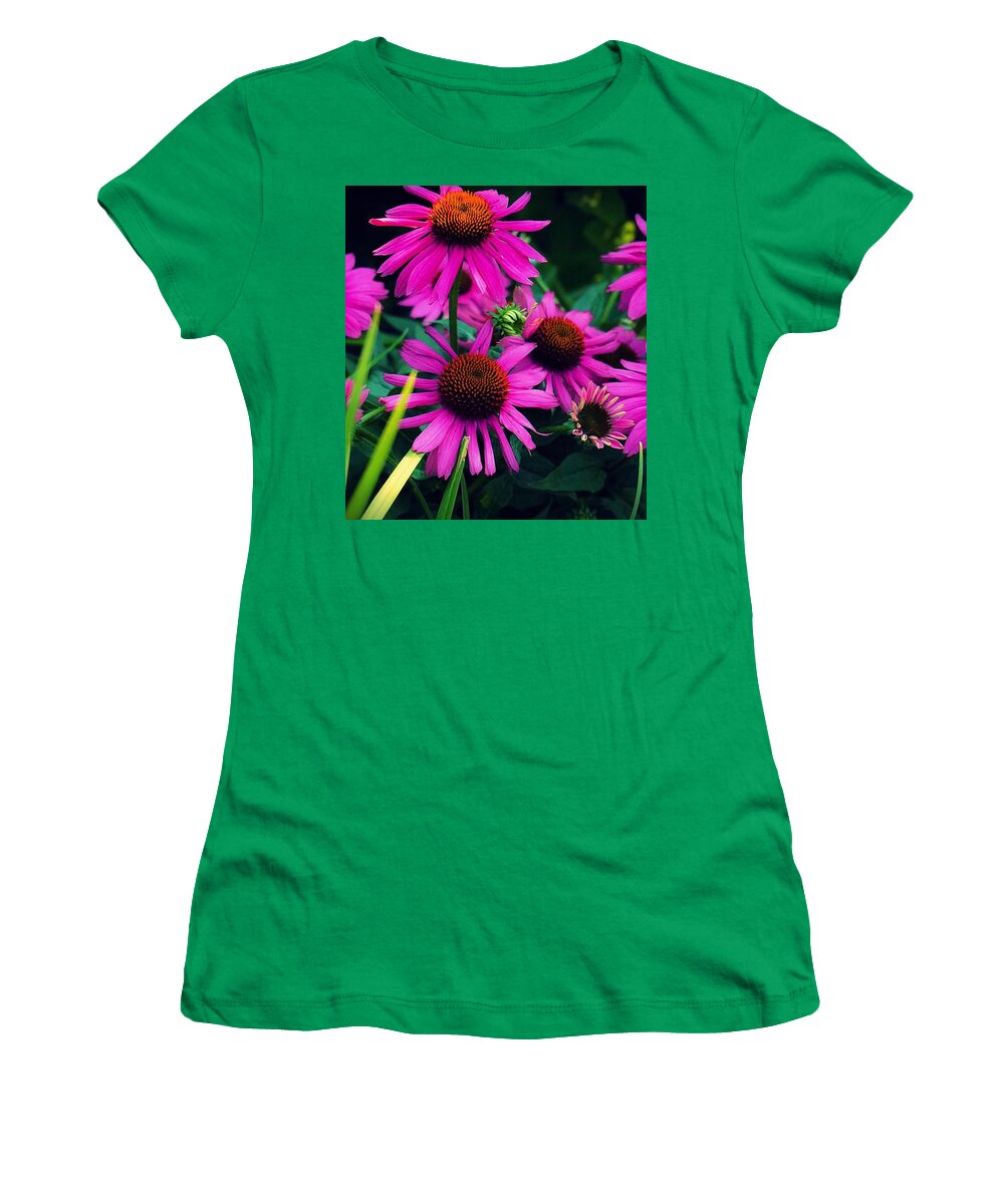  Women's T-Shirt featuring the photograph Crazy for Coneflowers by Kendall McKernon