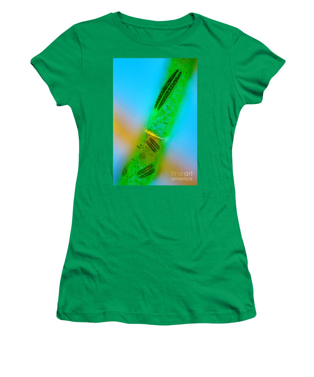 Epithemia Women's T-Shirt featuring the photograph Epithema, Polarized Lm by Marek Mis