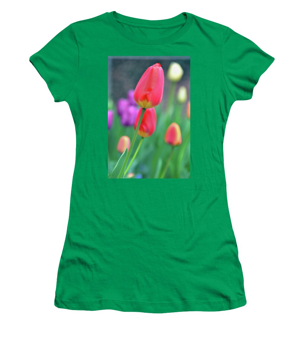 Tulip Women's T-Shirt featuring the photograph Go Your Own Way by Angelina Tamez