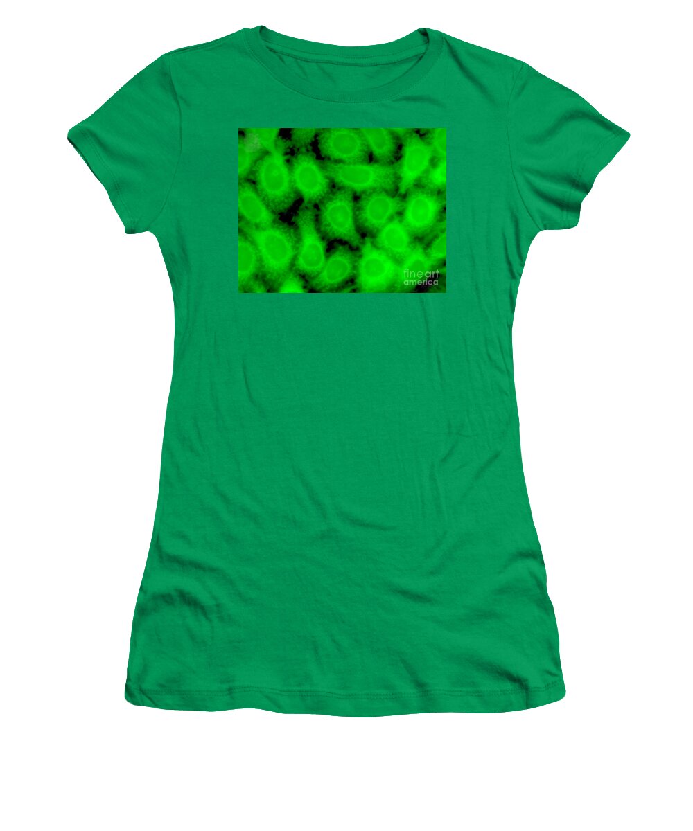 Science Women's T-Shirt featuring the photograph Human Glioma Cell Line by Science Source