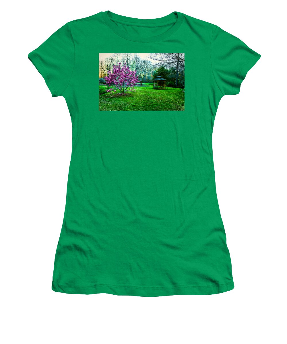 Impressions Women's T-Shirt featuring the painting Impressions of Spring - Landscape by Barry Jones