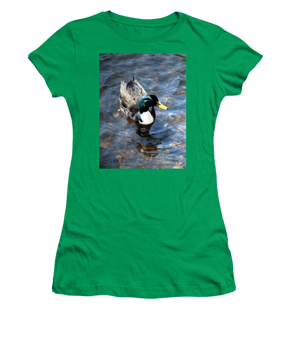 Drake Women's T-Shirt featuring the photograph Paddling Peacefully by RC DeWinter