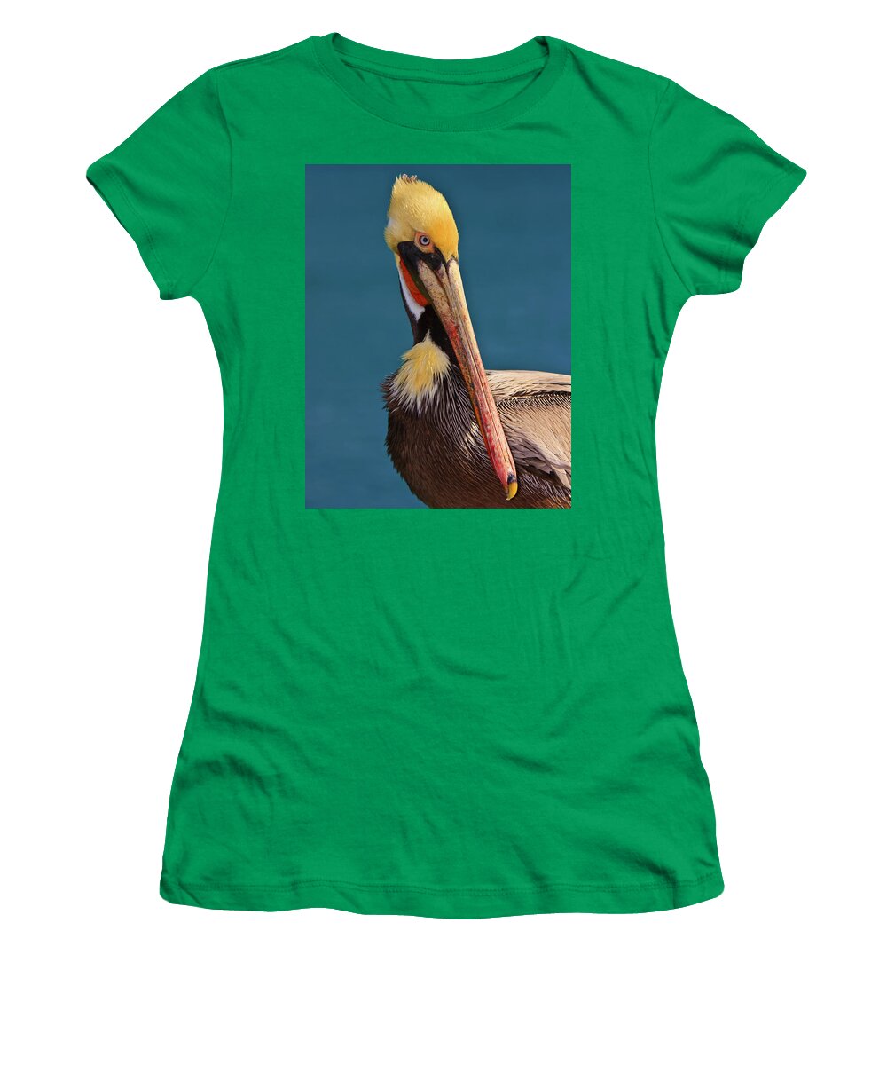Pelican Women's T-Shirt featuring the photograph Pelican by Beth Sargent