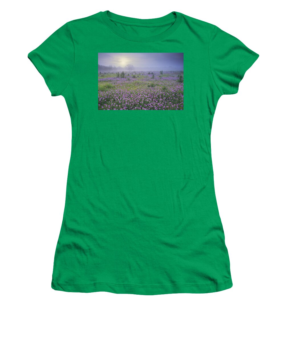 00170957 Women's T-Shirt featuring the photograph Sand Verbena Flower Field At Sunrise by Tim Fitzharris