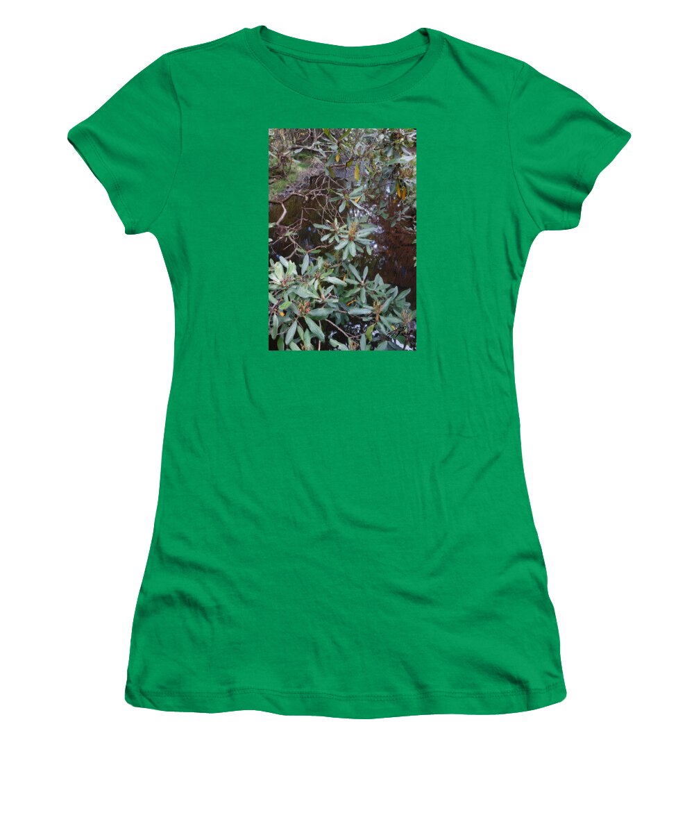 Landscape Painting Women's T-Shirt featuring the painting SkyTop Lake,Pa. by Joan Reese
