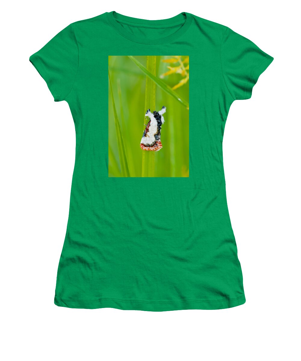 America Fauna Women's T-Shirt featuring the photograph Bird-dropping Moth #1 by Michael Lustbader