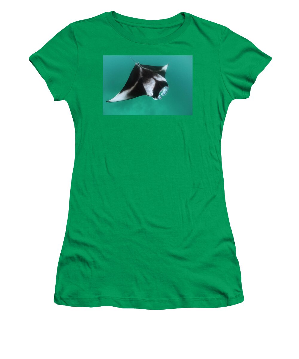 Animals Women's T-Shirt featuring the photograph Manta Ray Filter Feeding Off Maldives by Tui De Roy