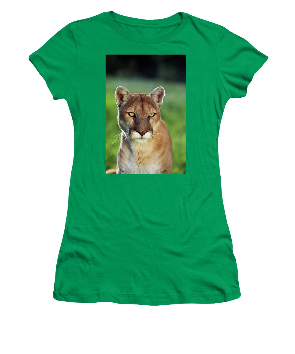 Photography Women's T-Shirt featuring the photograph Mountain Lion Felis Concolor, Portrait by Panoramic Images