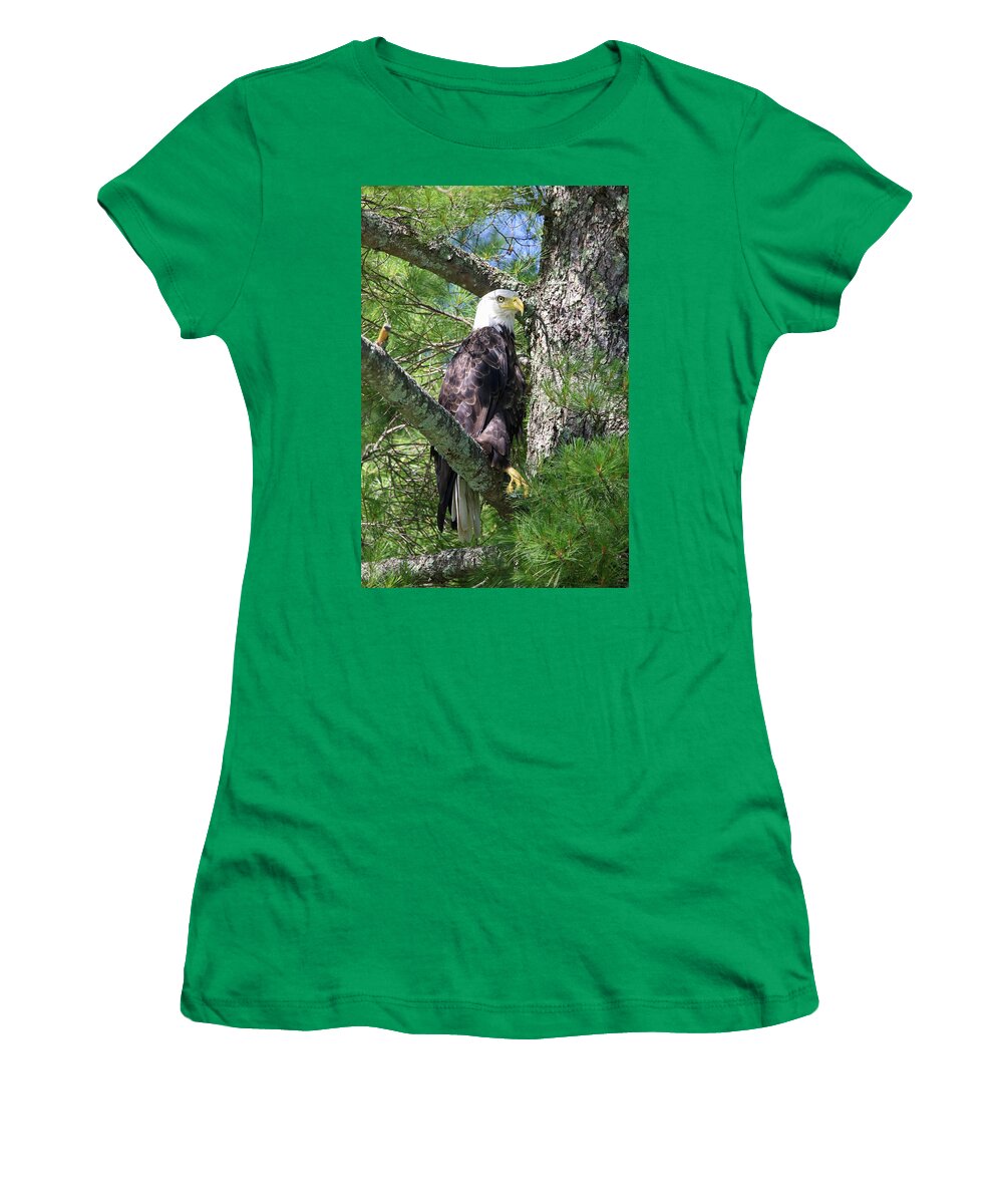 American Eagle Women's T-Shirt featuring the photograph Eagle #1 by Brook Burling