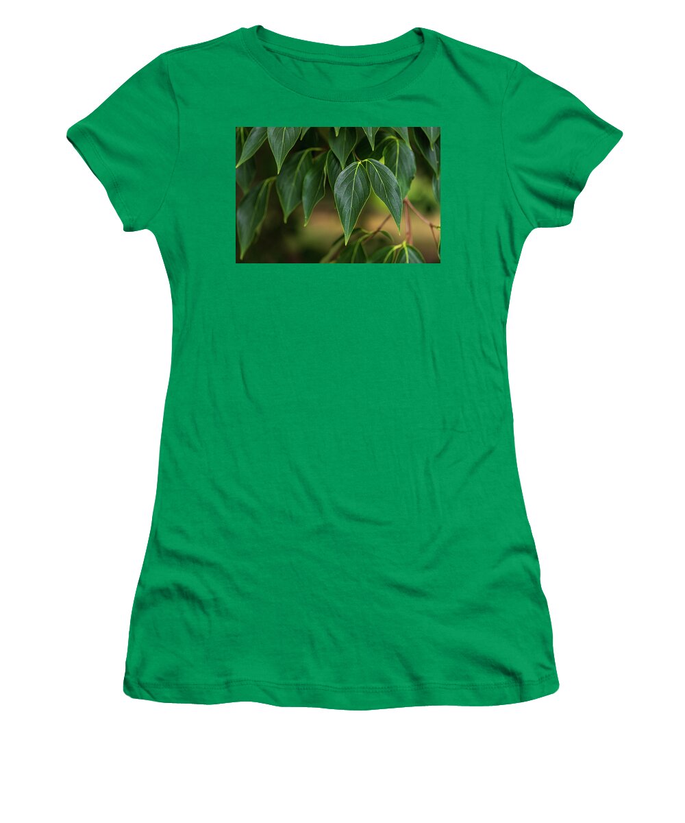 Leaf Women's T-Shirt featuring the photograph Green Leaves #1 by Amelia Pearn