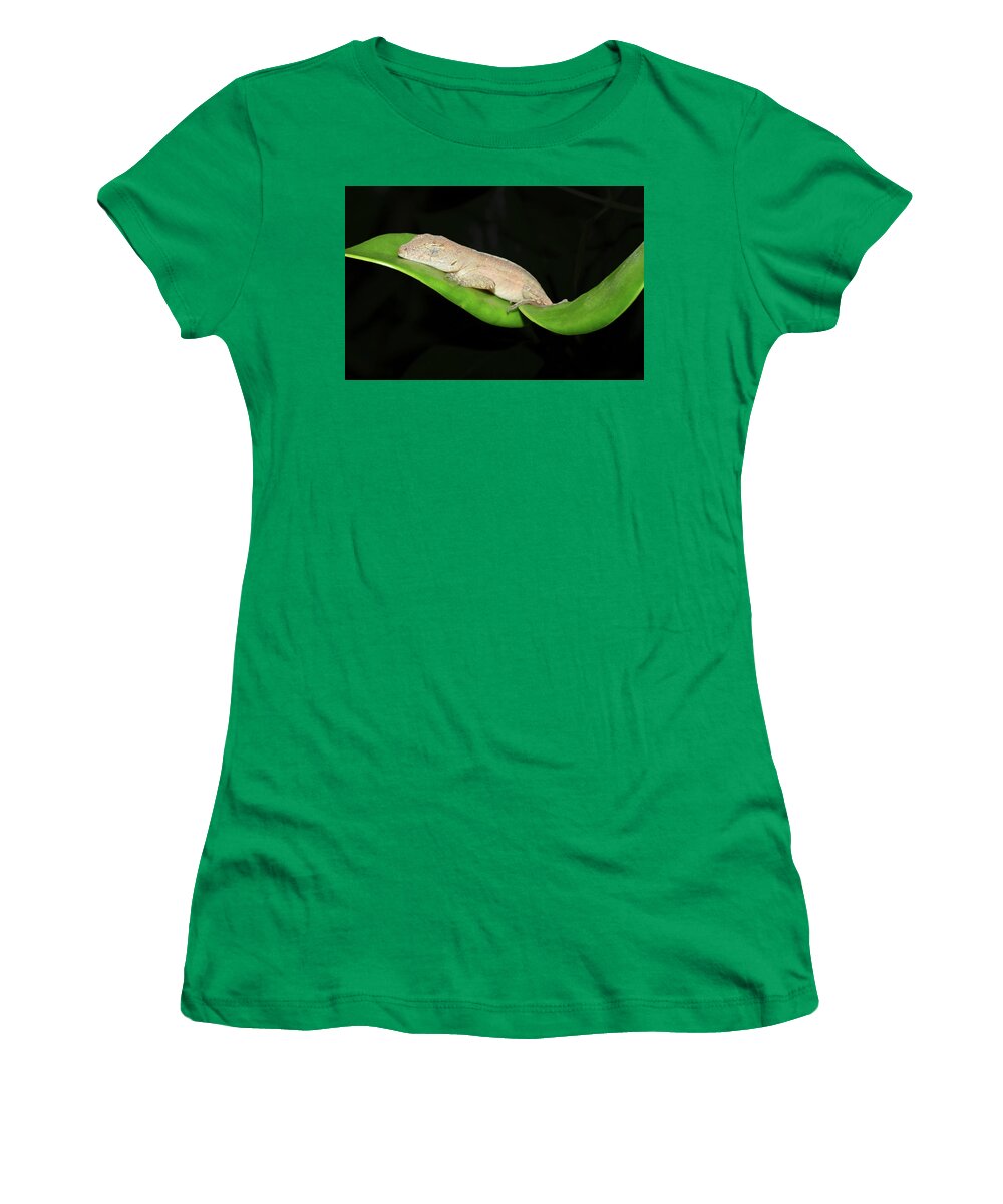 Photograph Women's T-Shirt featuring the photograph Sleeping Anole #2 by Larah McElroy