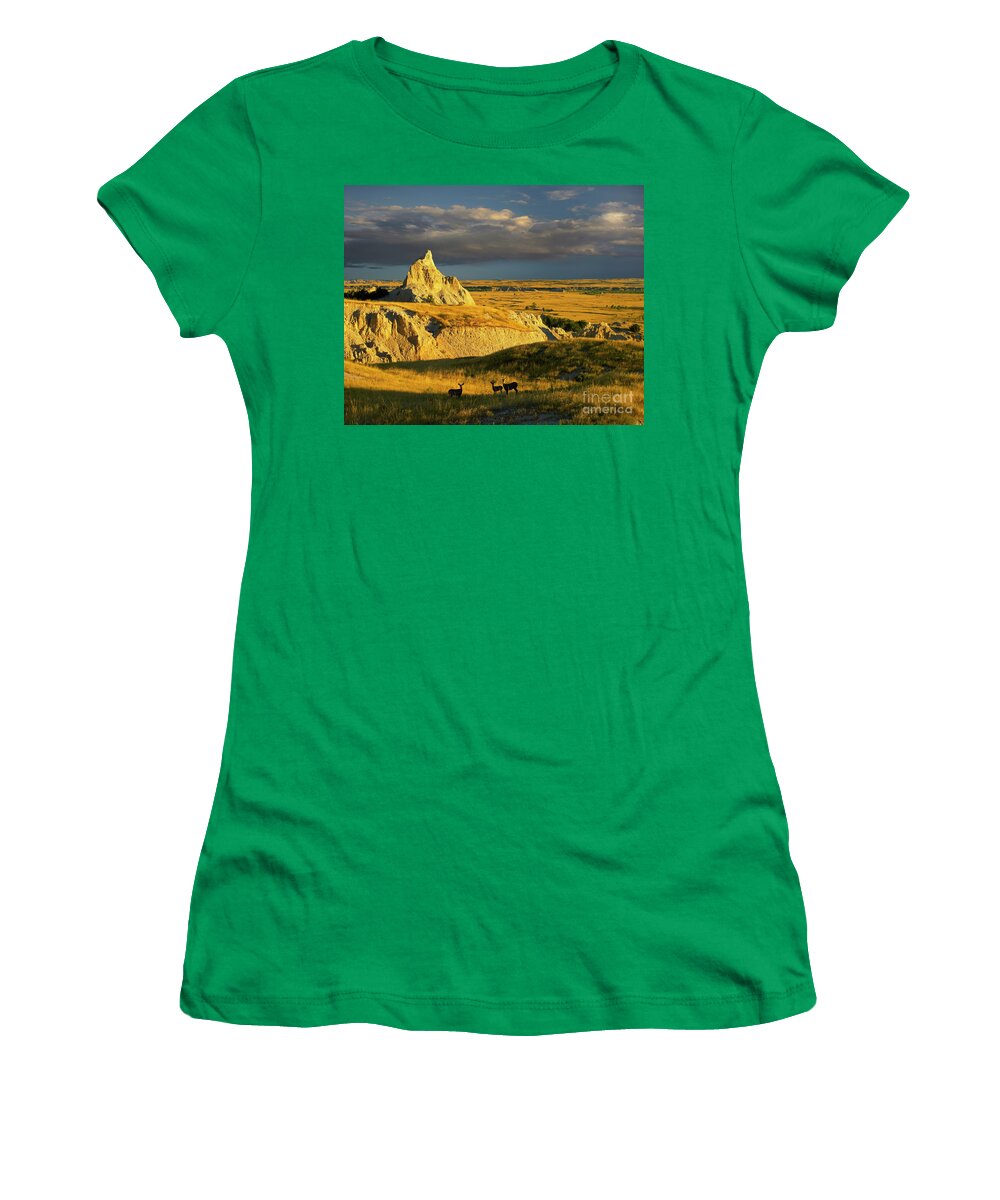 00175613 Women's T-Shirt featuring the photograph Badlands Mule Deer by Tim Fitzharris
