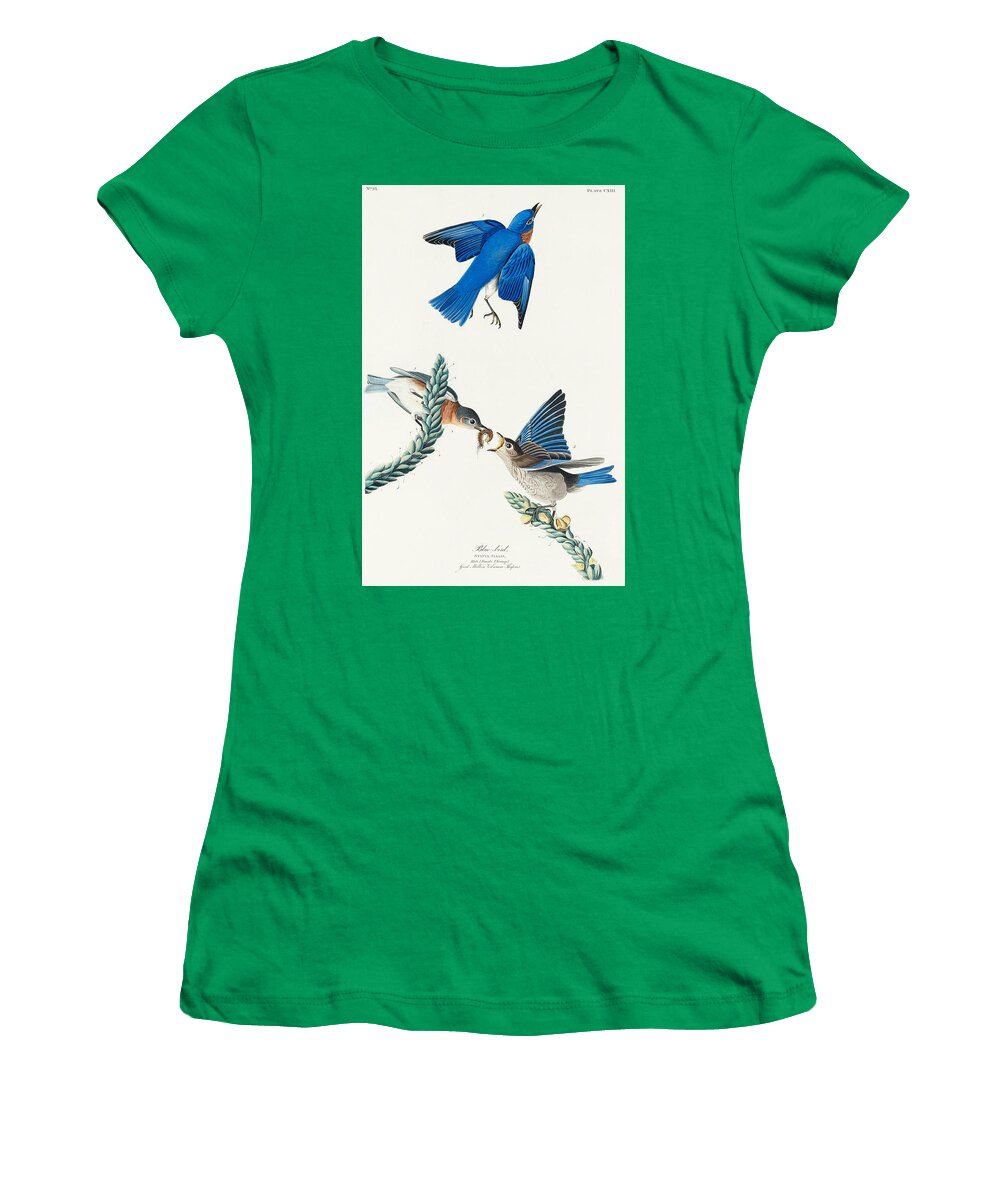 Bluebird Women's T-Shirt featuring the mixed media Bluebird. John James Audubon by World Art Collective