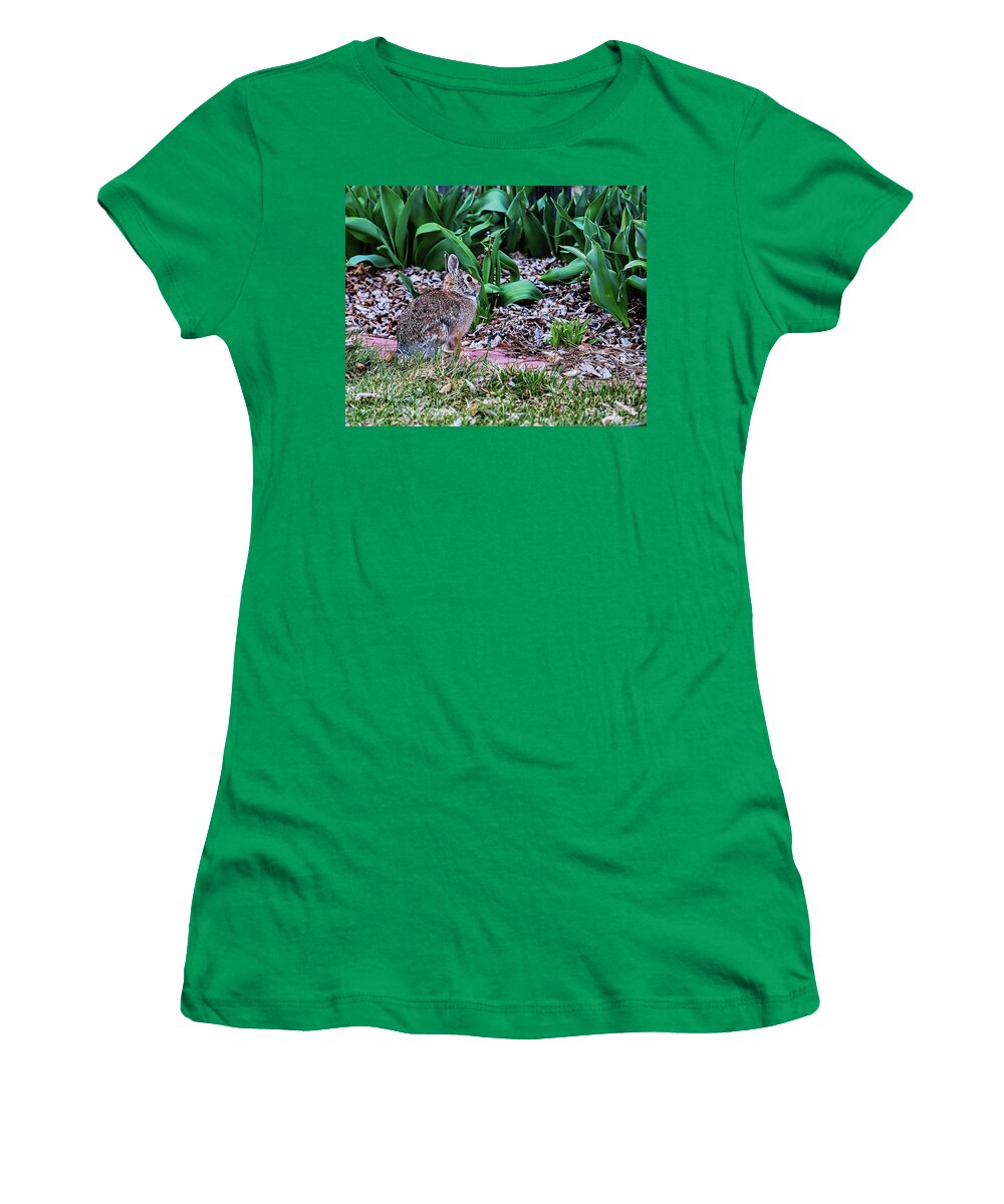 Jon Burch Women's T-Shirt featuring the photograph Cottentail by Jon Burch Photography