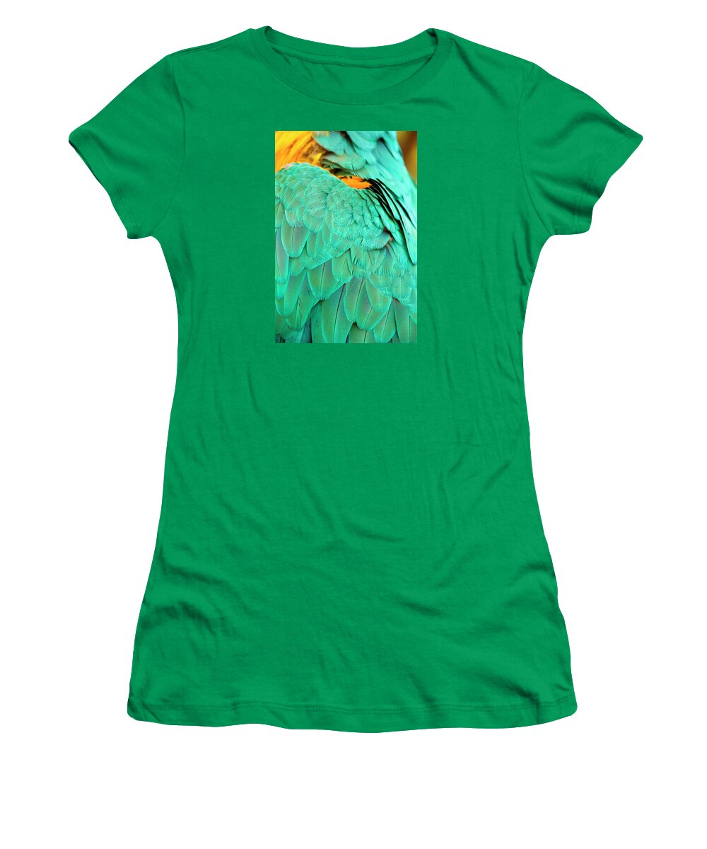 Feather Women's T-Shirt featuring the photograph Feathers by Anna Kluba