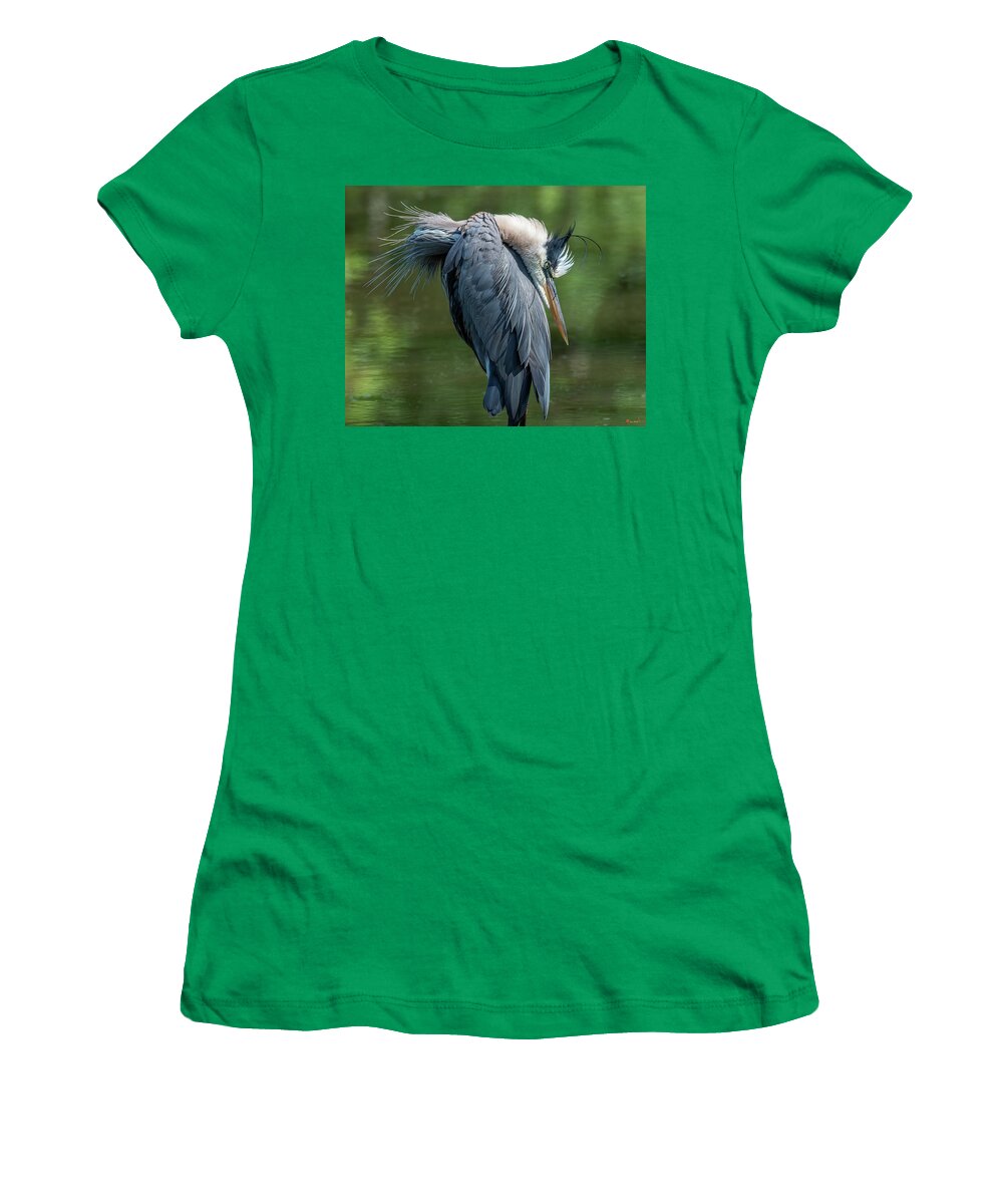 Nature Women's T-Shirt featuring the photograph Great Blue Heron Preening DMSB0155 by Gerry Gantt