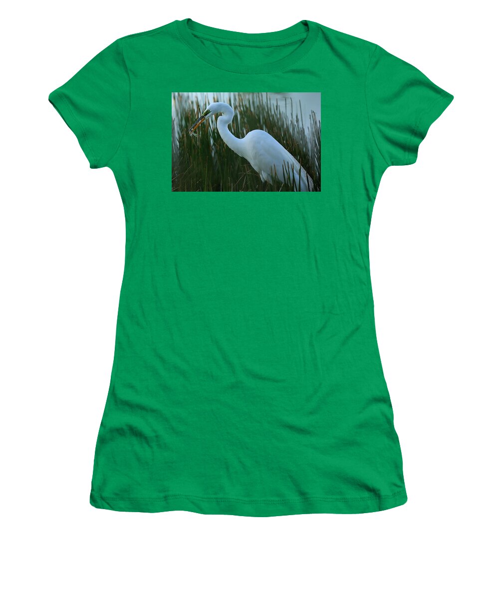 Great Egret Women's T-Shirt featuring the photograph Green Lore of Great Egret by Mingming Jiang