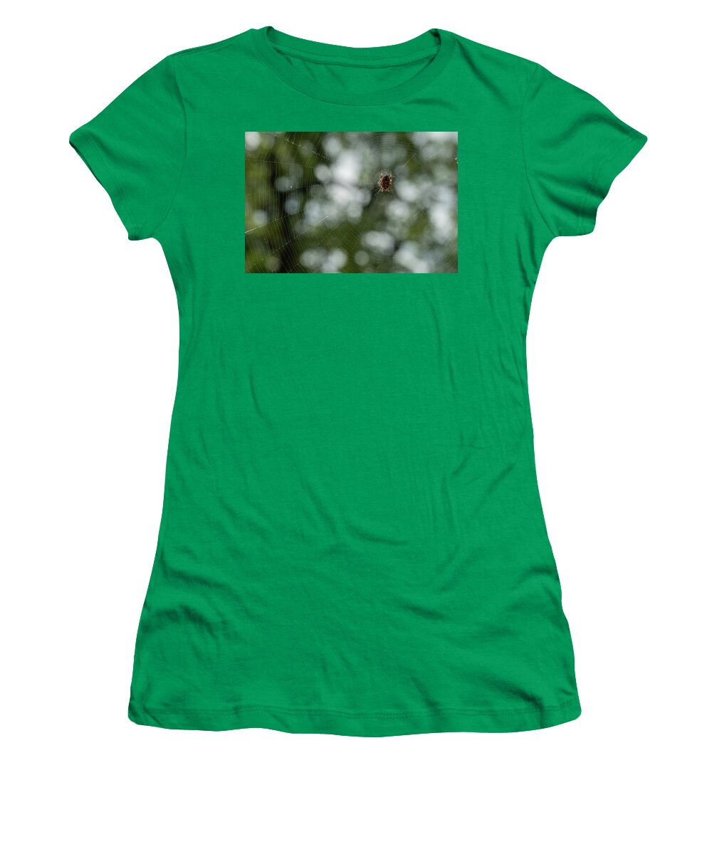 Ventral View Women's T-Shirt featuring the photograph Hentz Orb Weaver and Web by Brooke Bowdren