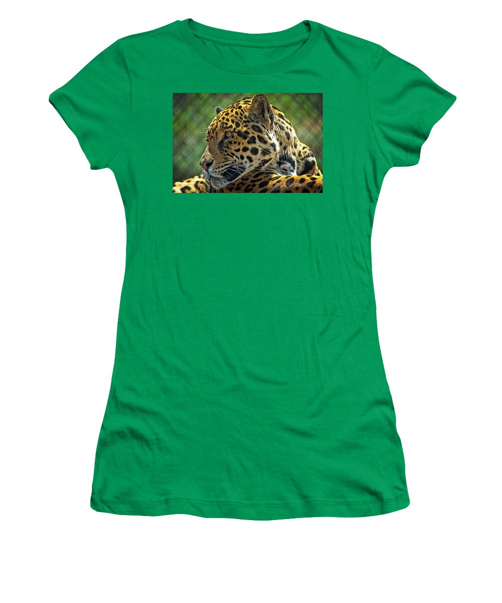 Mammal Women's T-Shirt featuring the photograph Jaguar Profile by David Desautel