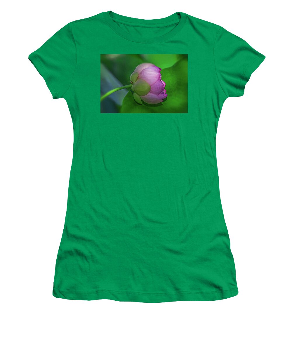 Lotus Flower Women's T-Shirt featuring the photograph Lighting Lotus by Kevin Lane