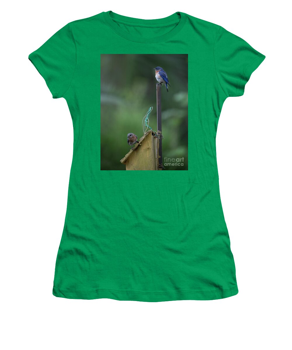 Blue Bird Women's T-Shirt featuring the photograph Nesting Look Out by Dale Powell