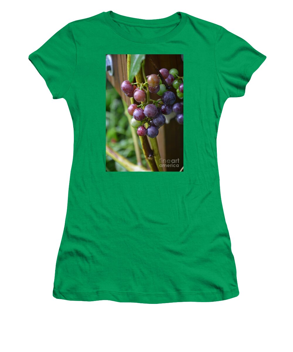 Grapes Women's T-Shirt featuring the photograph New Grapes by Robert Meanor