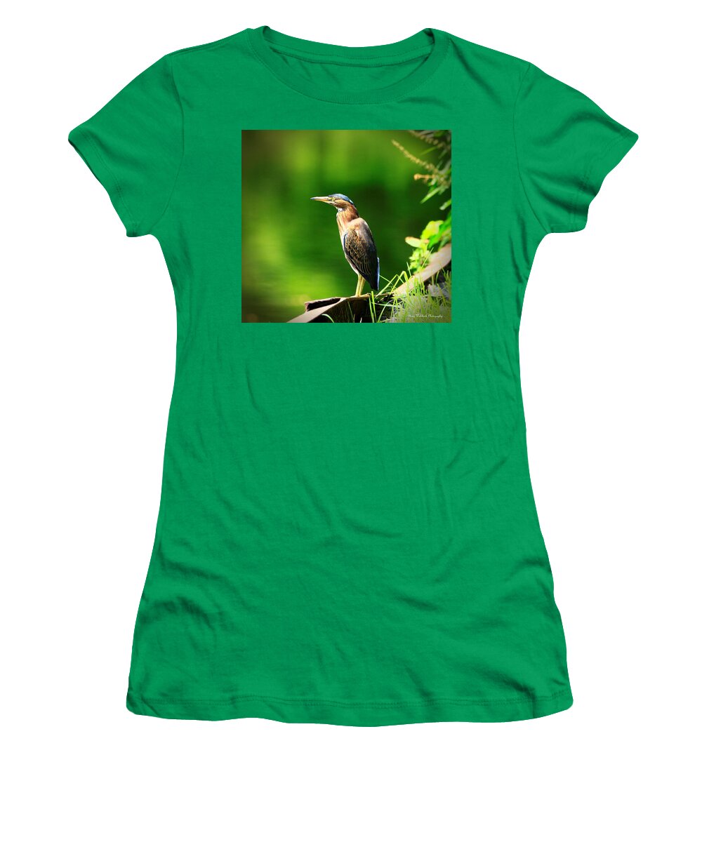 Green Heron Women's T-Shirt featuring the photograph On a Mission by Mary Walchuck