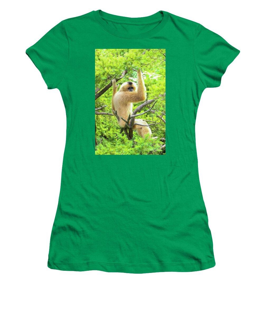 Gibbon Women's T-Shirt featuring the photograph Over the shoulder look by Bentley Davis