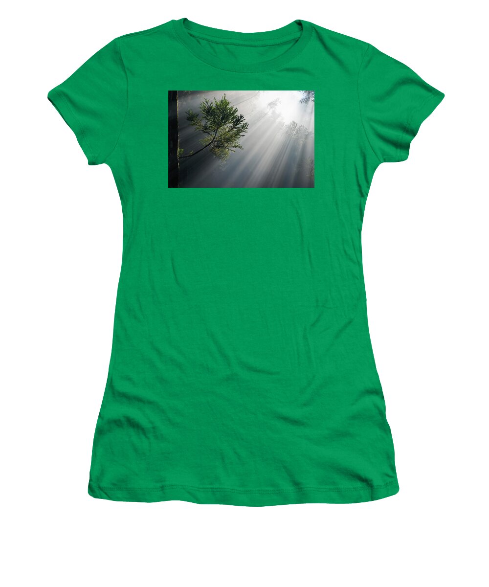 Photosynthesis Women's T-Shirt featuring the photograph Photosynthesis by Olivier Parent