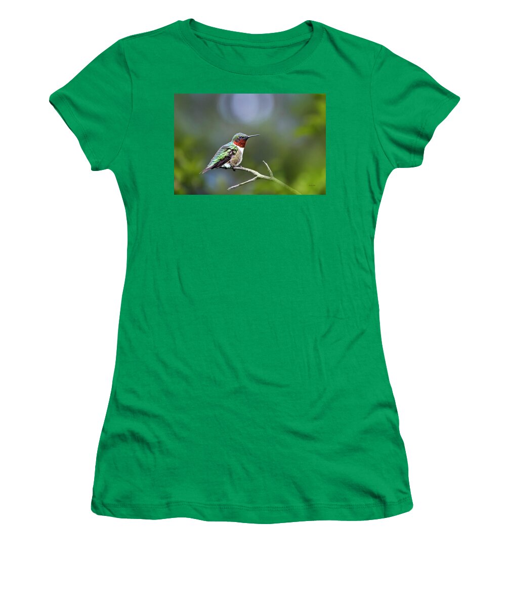 Bird Women's T-Shirt featuring the photograph Ruby Throated Hummingbird Spotlight by Christina Rollo