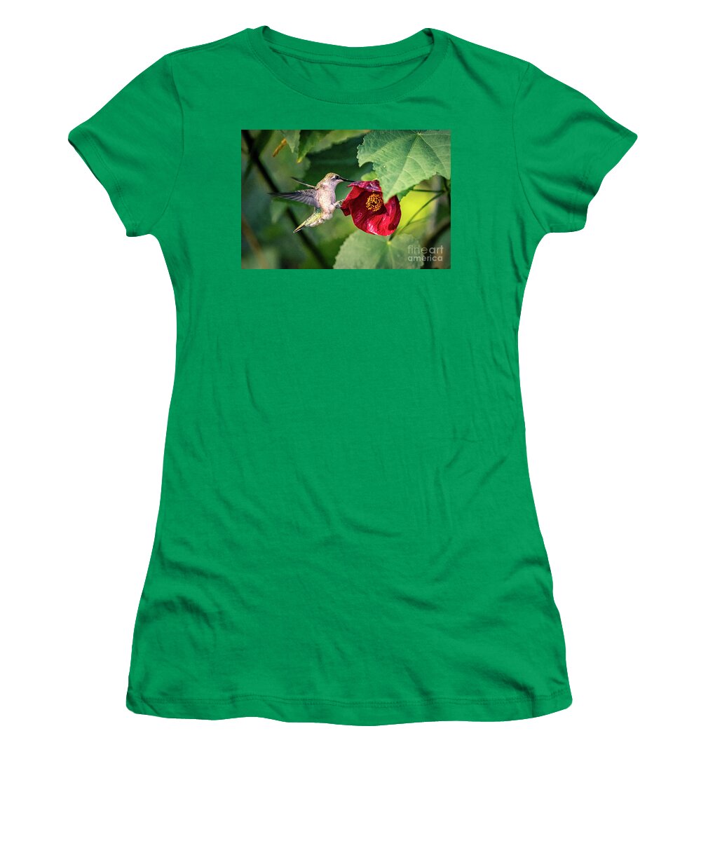 Hummingbird Women's T-Shirt featuring the photograph Ruby-throated hummingbird with flowering maple. by Alyssa Tumale