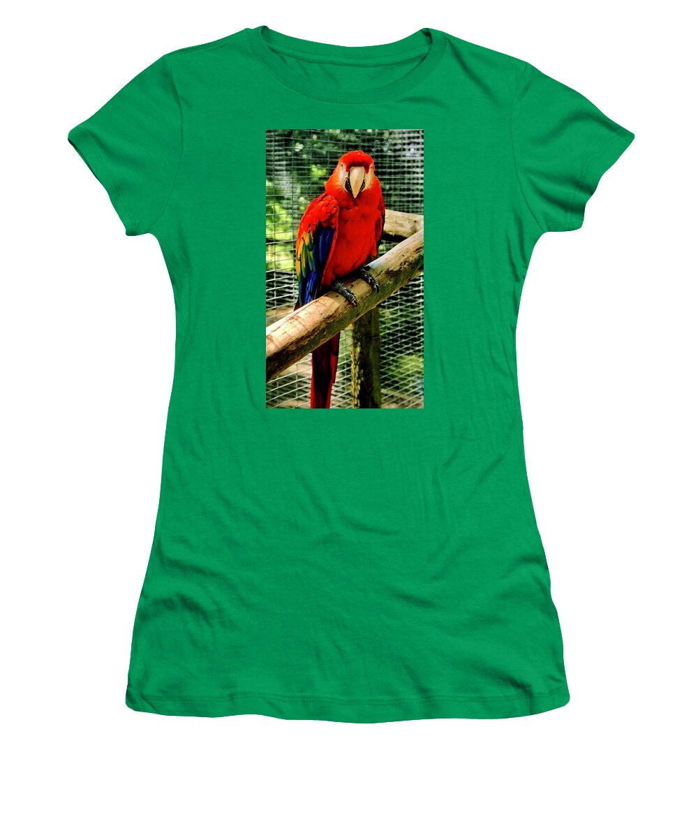  Women's T-Shirt featuring the photograph Scarlet Macaw Parrot by Gordon James