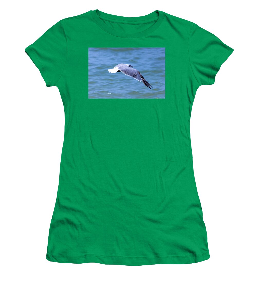Seagull Women's T-Shirt featuring the photograph Seagull Trolling by Blair Damson