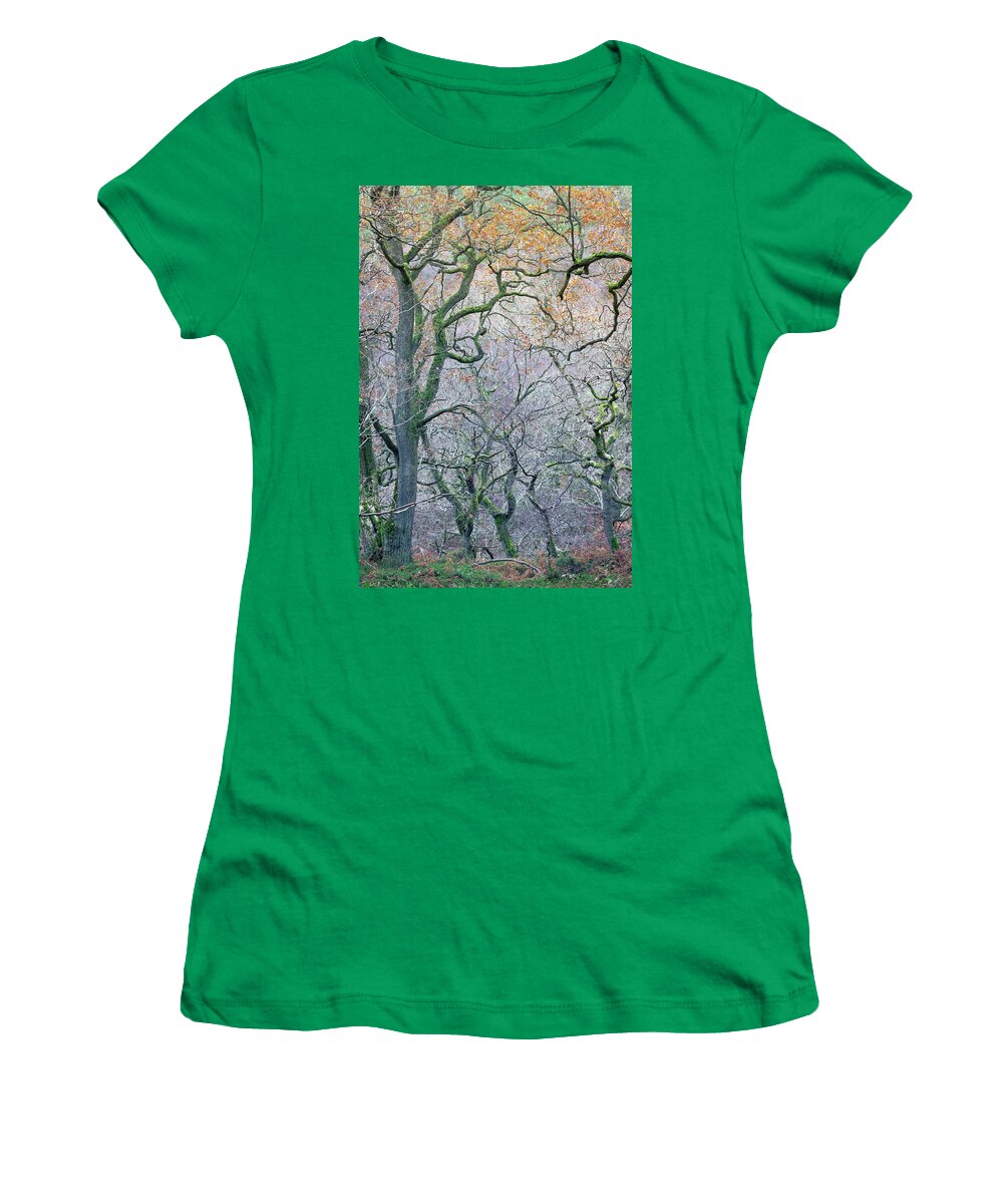 Oak Women's T-Shirt featuring the photograph The End of Autumn in the Old Oak Wood by Anita Nicholson