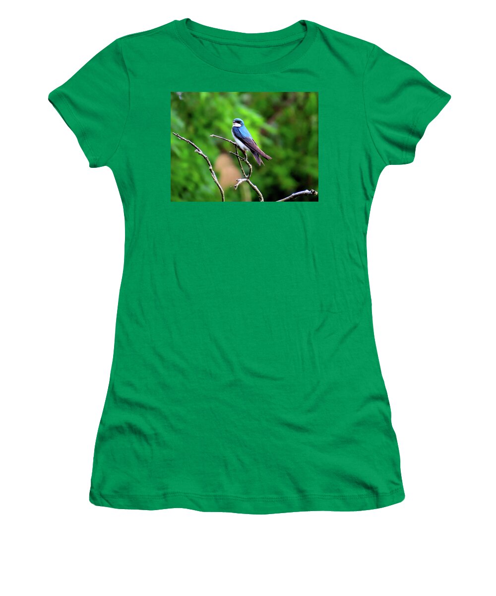 Birds Women's T-Shirt featuring the photograph Tree Swallow at Palmyra Nature Cove by Linda Stern