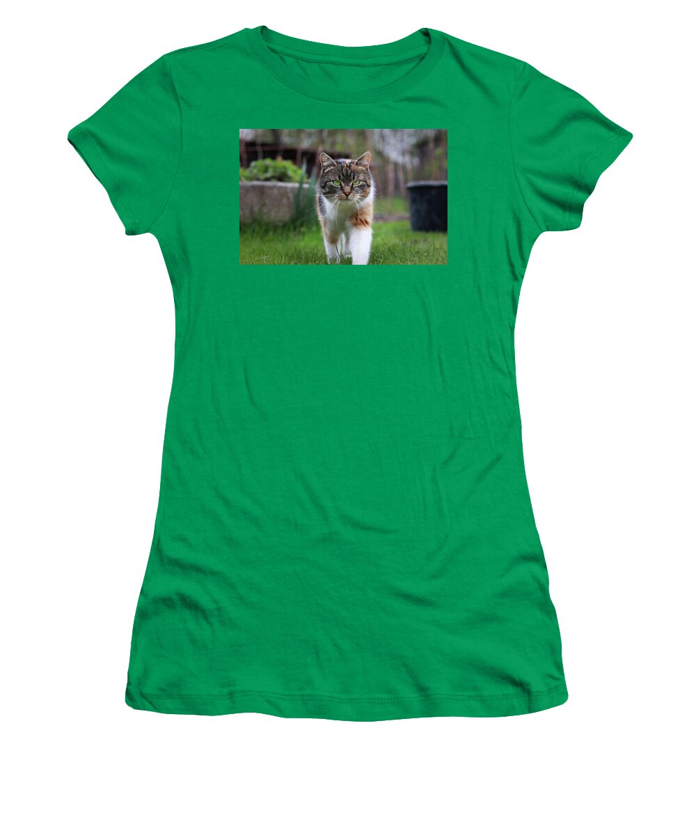 Liza Women's T-Shirt featuring the photograph Triumphant arrival of a domestic cat to our garden. Magical and noble look by kitten. colourful body and white, grey and black head. Queen of cats. by Vaclav Sonnek