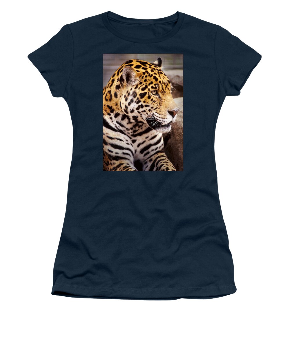 Black Women's T-Shirt featuring the photograph Big Cat by David and Carol Kelly