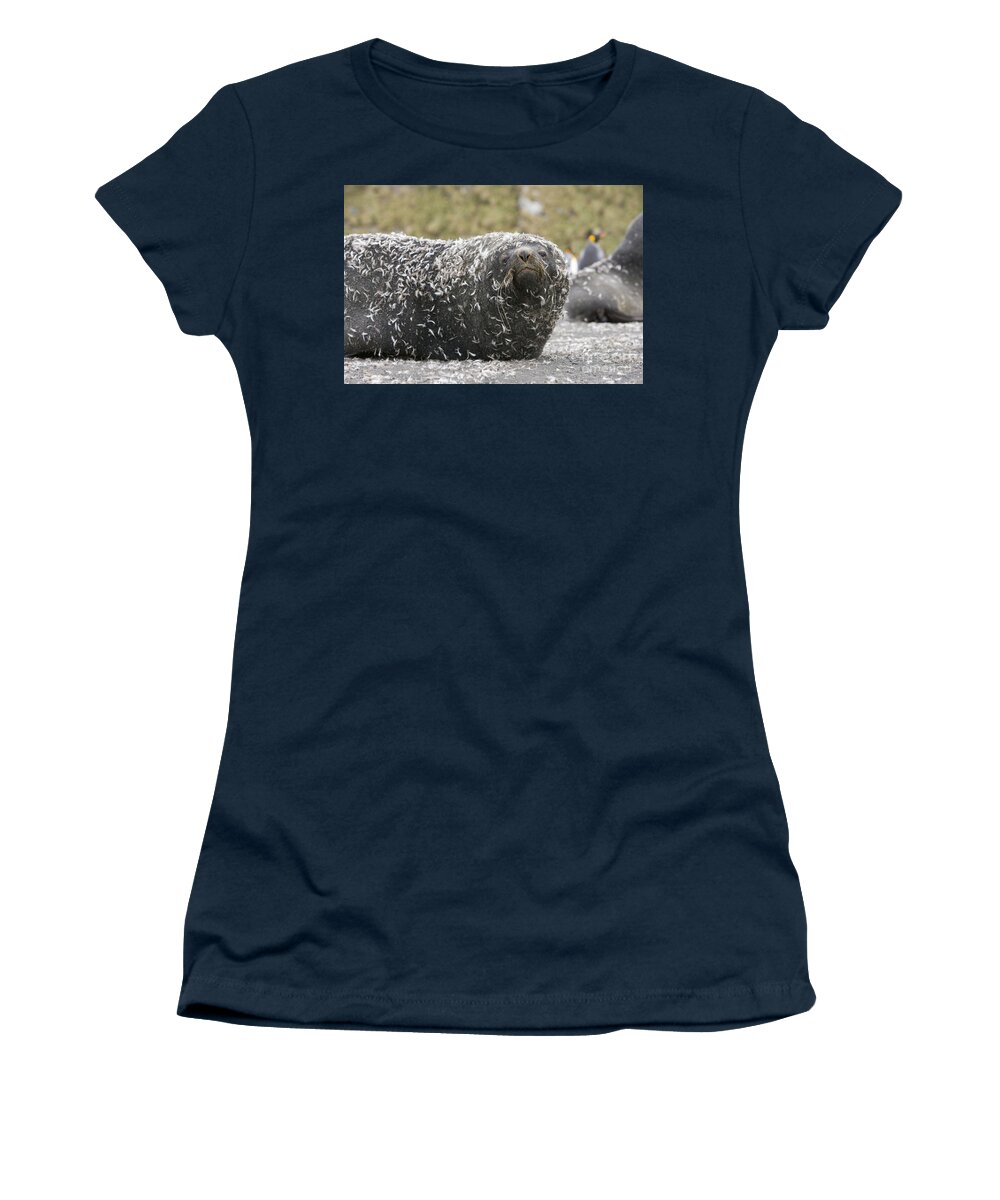00345983 Women's T-Shirt featuring the photograph Antarctic Fur Seal In Penguin Feathers by Yva Momatiuk and John Eastcott
